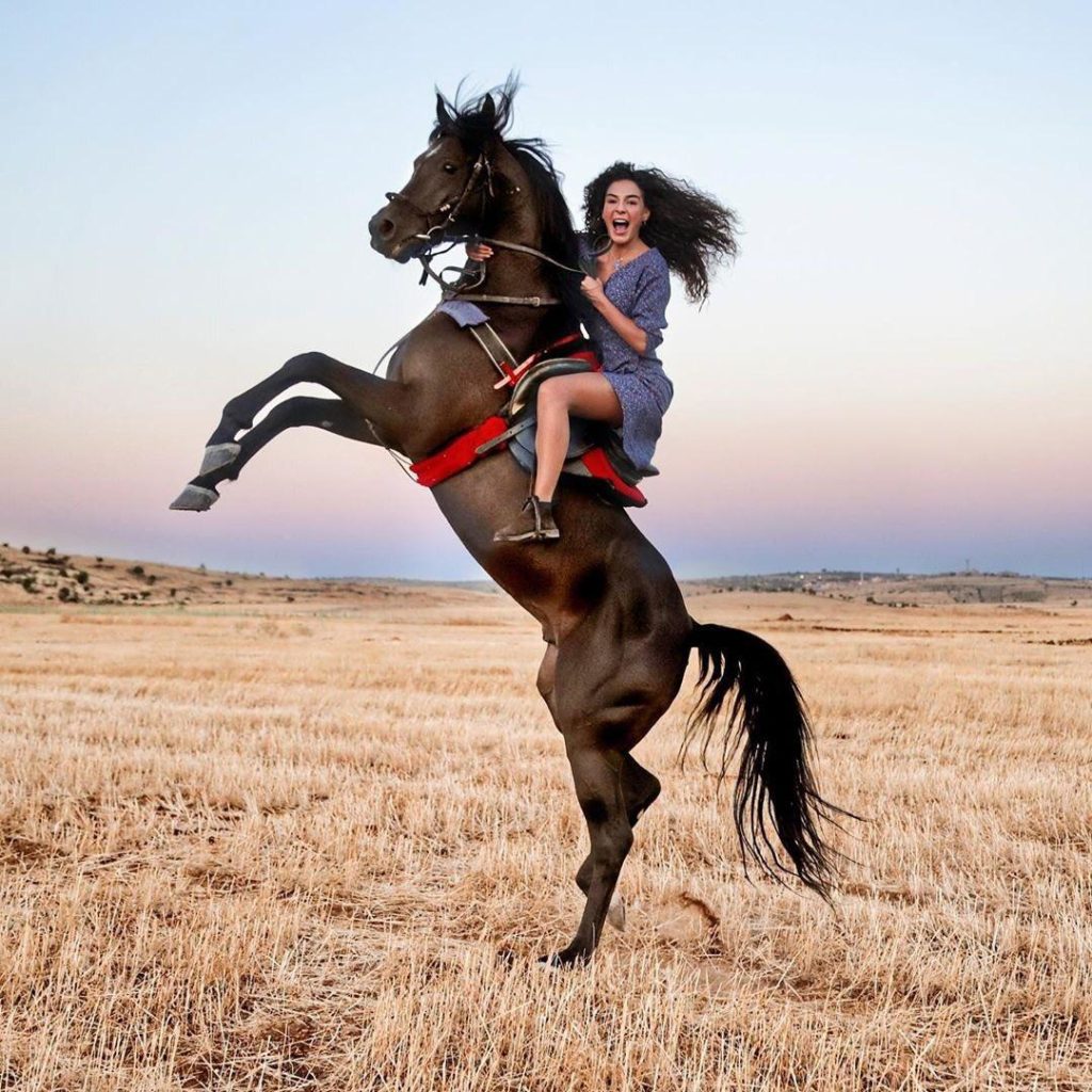 hercai season 3 ebru sahin rayaan practicingwith a horse